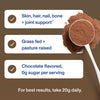 Vital Proteins Chocolate Collagen Peptides - Chocolate Collagen Powder 383g