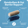 Lemme Metabolism Akkermansia Capsules 30ct
