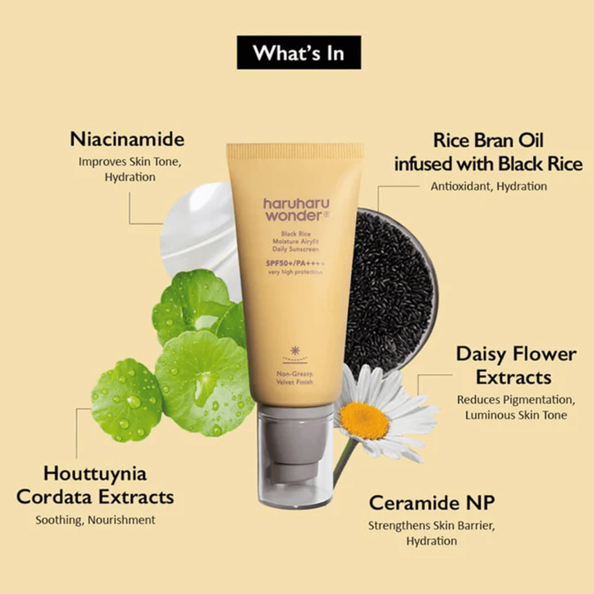 haruharu wonder Black Rice Moisture Airyfit Daily Sunscreen Duo ingredients: niacinamide, rice bran oil, daisy extracts for nourishing sensitive skin.