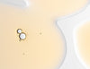 Prequel Skin AM/PM Daily Face Moisturizer For All Skin Types 60ml