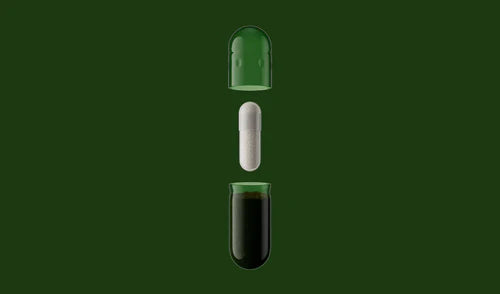 SEED DS-01® Daily Synbiotic 60 Capsules 30 Day Supply