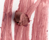 Rhode peptide lip shape The contouring lip shaper- Various Shades