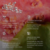 EADEM Le Chouchou Exfoliating + Softening Peptide Lip Balm Guava Fresca - petal pink | guava fruit scent