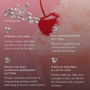 EADEM  Mini Le Chouchou Peptides Nourishing + Softening Mini Lip Balm Trio