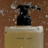 Salt & Stone Body Wash | Saffron & Cedar 450ml